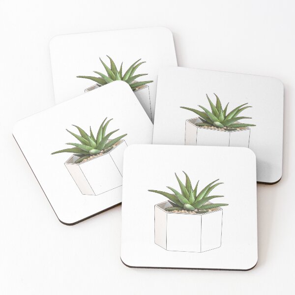 Item preview, Haworthia limifolia succulent designed and sold by SpongyDesings.