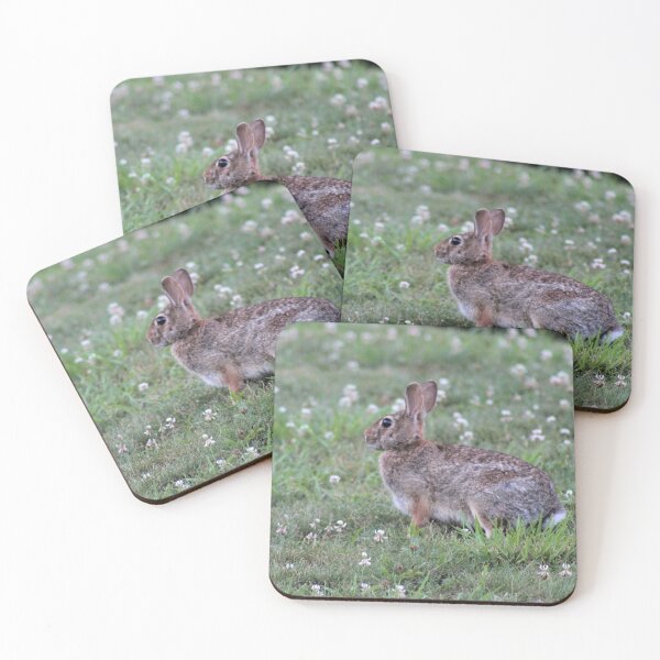 Item preview, Backyard Bunny designed and sold by MicroMikayla.