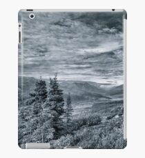 Guardian of the Valley iPad Case/Skin