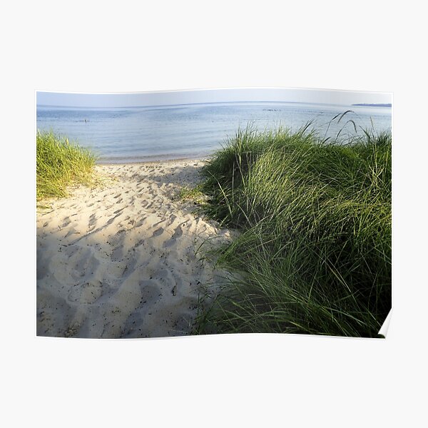 Sandy Pathway to the Lake Poster