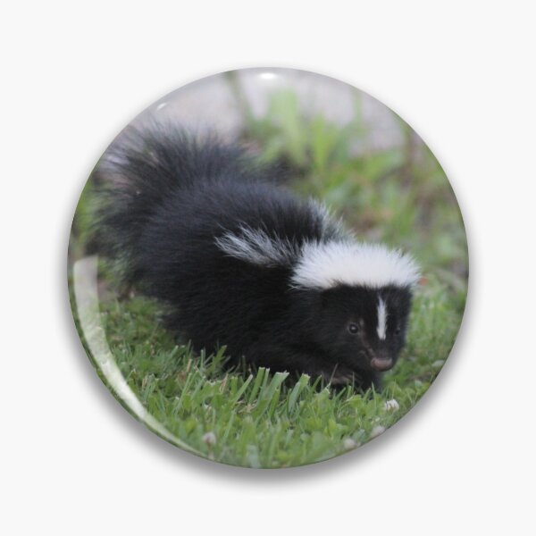 Item preview, Backyard Baby Skunk designed and sold by MicroMikayla.