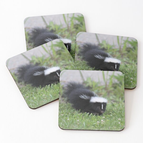 Item preview, Backyard Baby Skunk designed and sold by MicroMikayla.