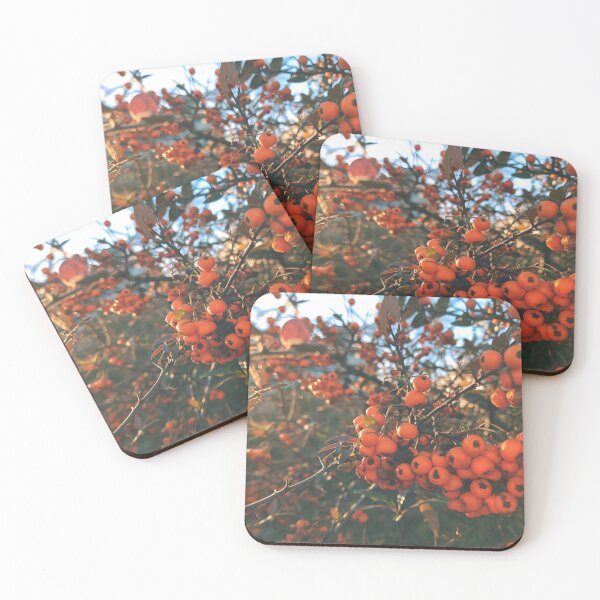 Item preview, Orange berries during sunset - Photography designed and sold by greatnorris.