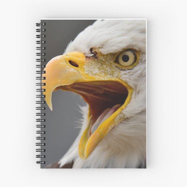 Item preview, bald eagle speaking out portrait designed and sold by aim4adventure.