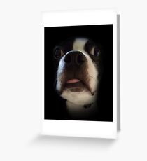 Bosco's Dumb Face Greeting Card