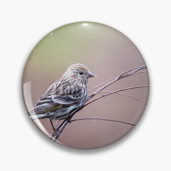 Item preview, Pine Siskin on a Branch designed and sold by PhotoArt by Joan Carroll.