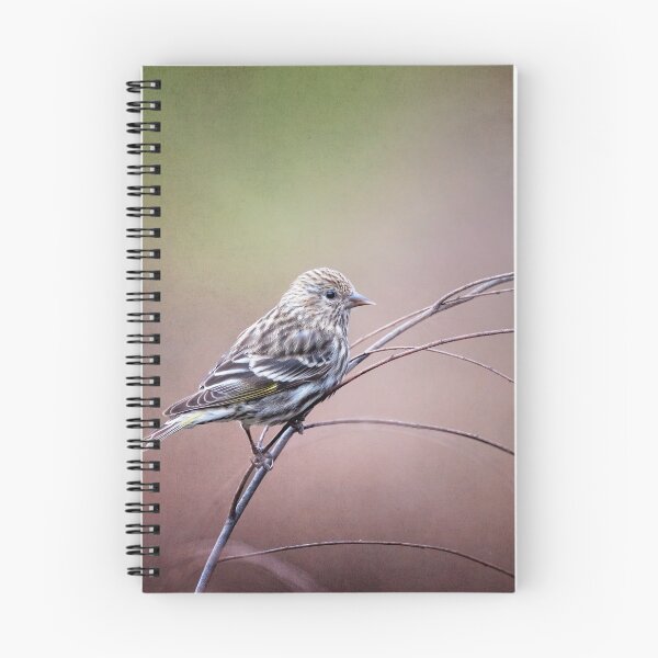 Item preview, Pine Siskin on a Branch designed and sold by PhotoArt by Joan Carroll.