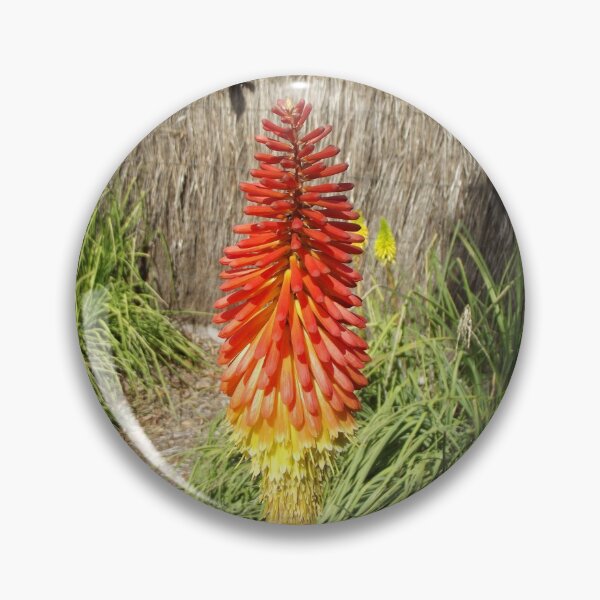 Item preview, Kniphofia designed and sold by greentiger1.