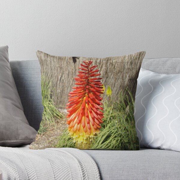 Item preview, Kniphofia designed and sold by greentiger1.