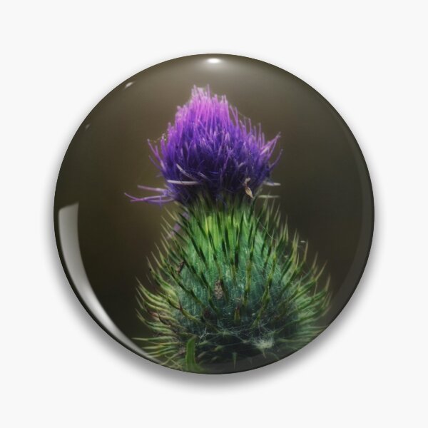 Artikelvorschau, Traditional Thistle entworfen und verkauft von Matt Sillence.