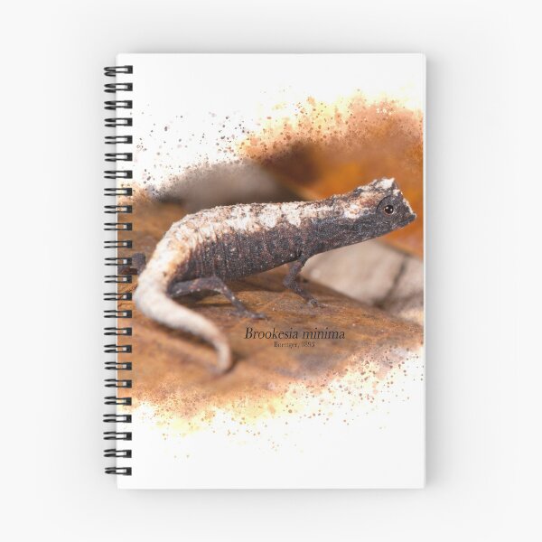 Item preview, Brookesia minima male designed and sold by Mark D. Scherz.