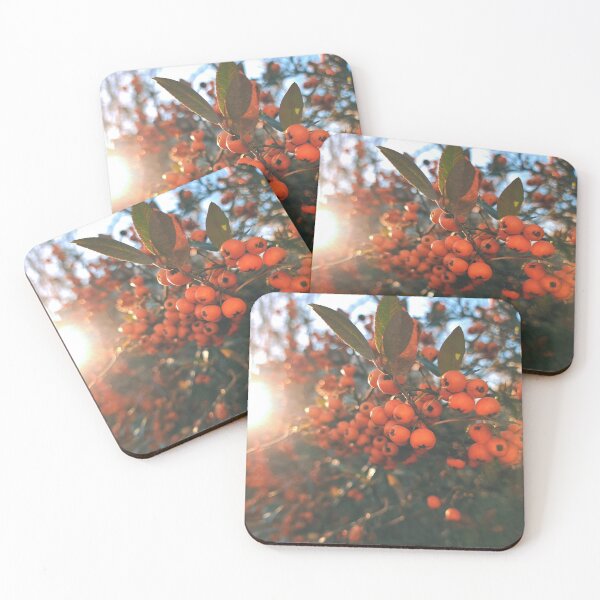 Item preview, Orange berries during sunset - Photography designed and sold by greatnorris.
