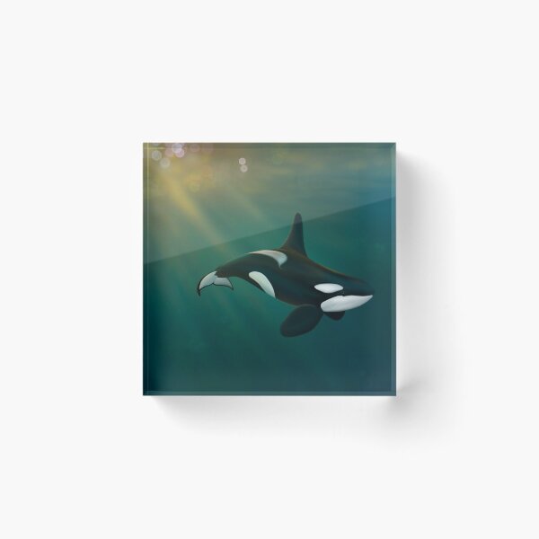 Item preview, Orca underwater sunset scene designed and sold by Moana Matron Designs.