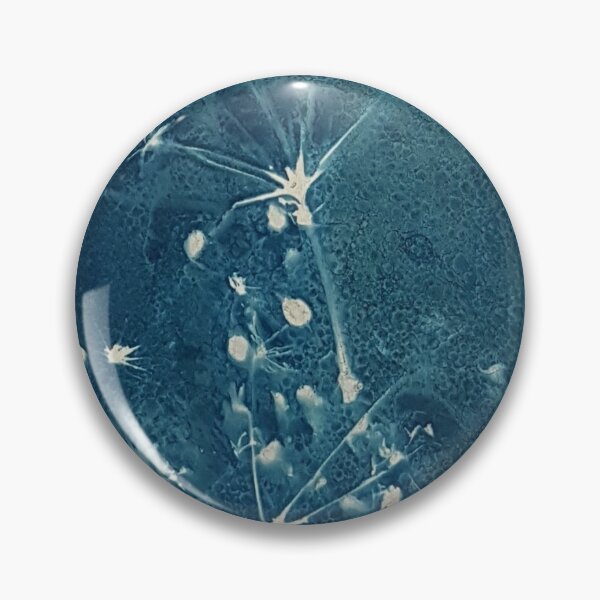 Item preview, Seed head  cyanotype designed and sold by DebbieHopperart.