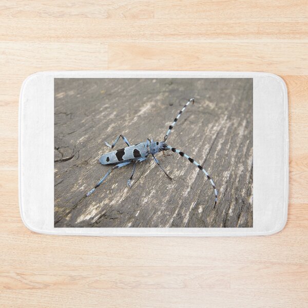 Item preview, Alpine longhorn beetle designed and sold by Danler.