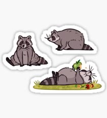 Pegatina Simply Raccoon