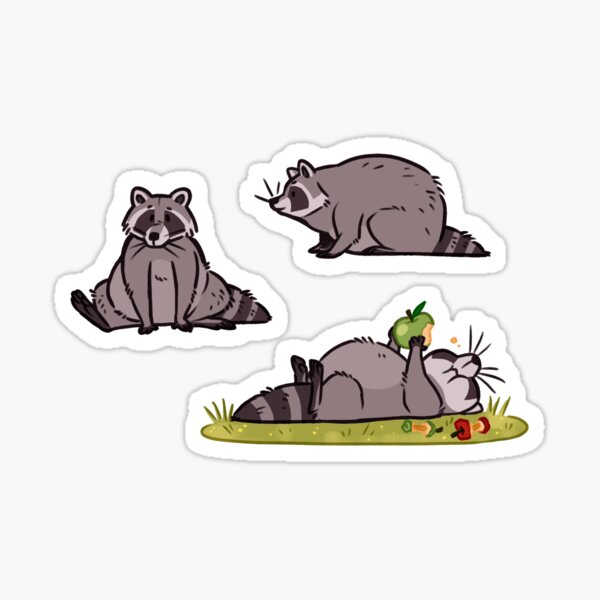Fishing Raccoon Sticker