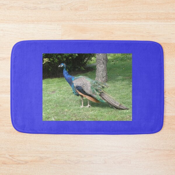 Item preview, Posing Peacock Photograph designed and sold by naturegallery.