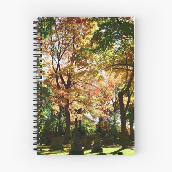 Item preview, Fall in Beechwood Cemetery designed and sold by Shulie1.