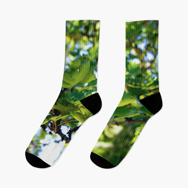 Item preview, Nature designed and sold by lezell.