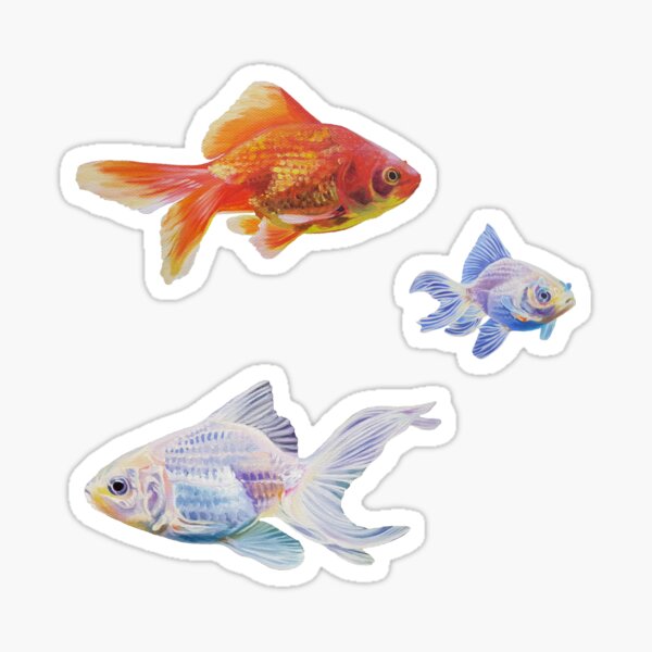 The Fish Pet Merch & Gifts for Sale
