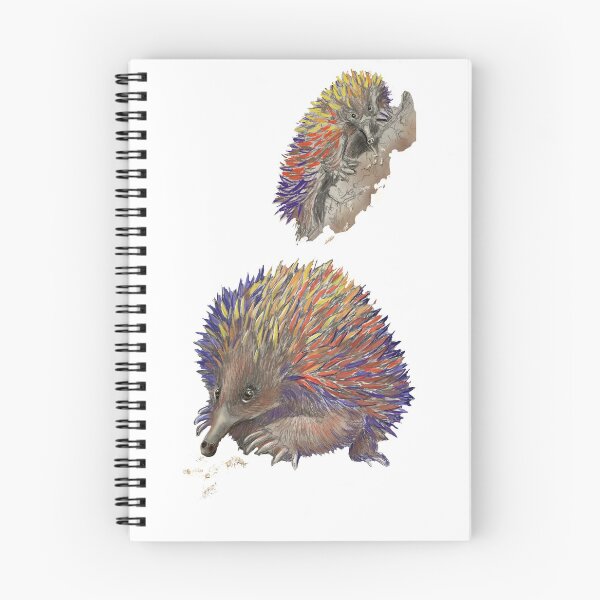 Item preview, Echidnas designed and sold by Lyn Walker.