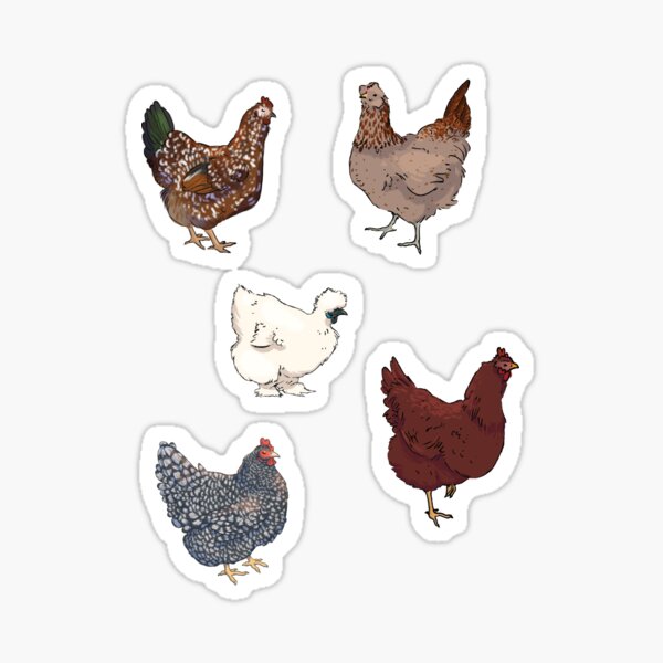 Hühnchen-Aufkleber-Set Sticker