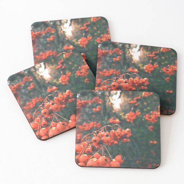 Item preview, Orange berries during sunset - Photography designed and sold by greatnorris.