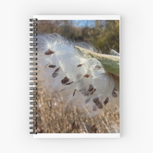 Item preview, A seedy place designed and sold by Chriskasper.