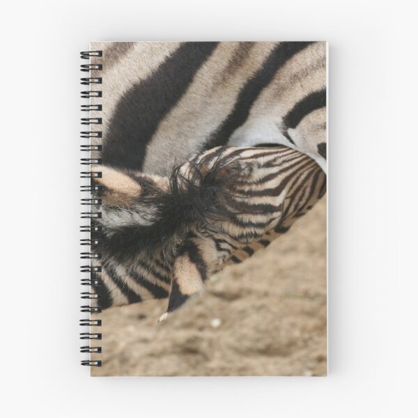 Item preview, Chapman Zebra Baby designed and sold by Jo Nijenhuis.