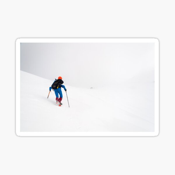 Into the white II Sticker