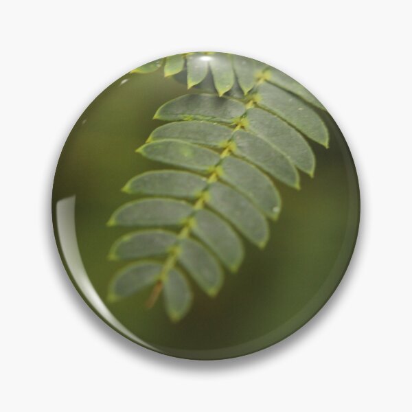 Item preview, Little Green Leaves designed and sold by MicroMikayla.
