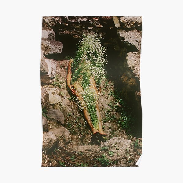 Ana Mendieta Silueta - Imagen de Yagul Póster