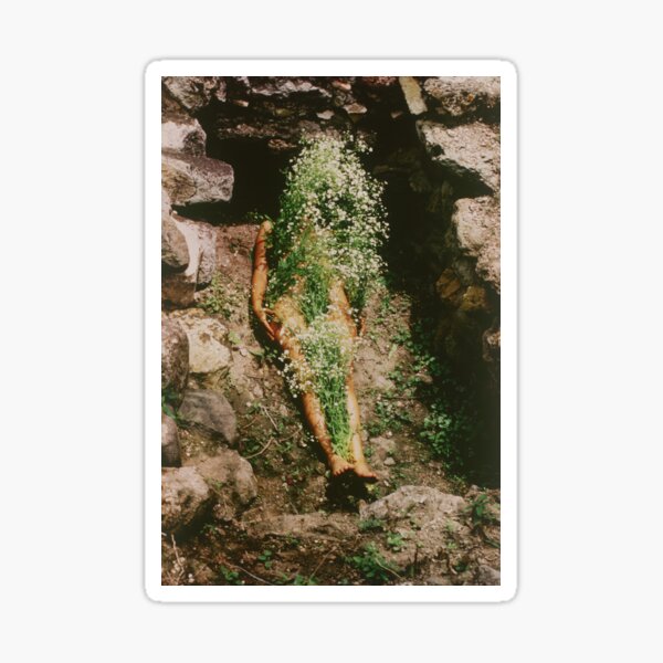 Ana Mendieta Silueta - Image from Yagul Sticker