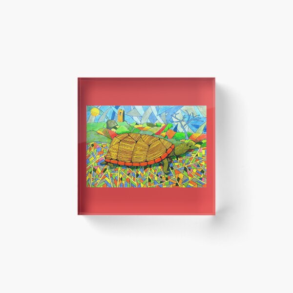 Item preview, 520 - LOGGERHEAD MUSK TURTLE - DAVE EDWARDS - COLOURED PENCILS - 2021 designed and sold by BLYTHART.
