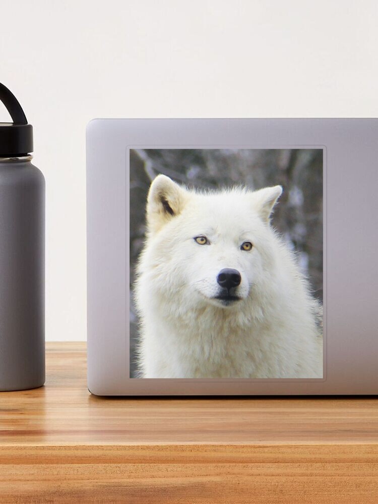 Arctic Wolf Water Bottle