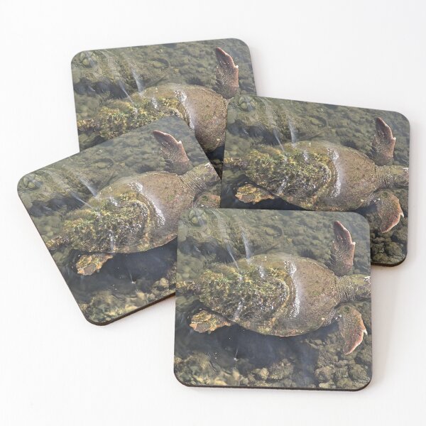 Item preview, Loggerhead sea turtle by Liam Hooper designed and sold by LH_WildLens.