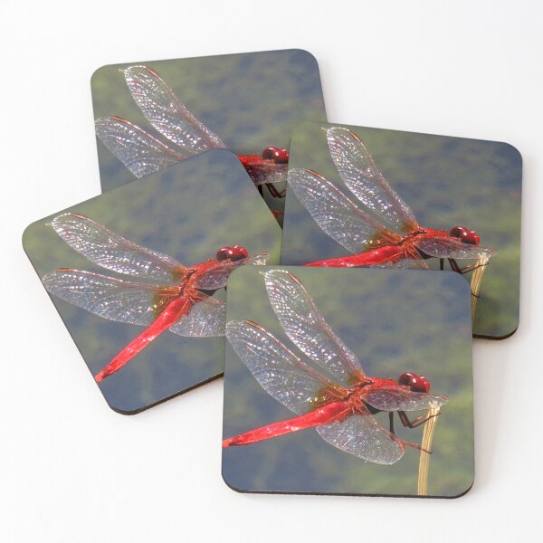 Item preview, Red Dragon Fly by Liam Hooper designed and sold by LH_WildLens.