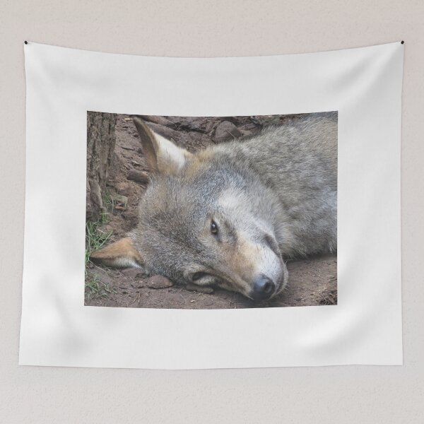 Item preview, European Wolf by Liam Hooper designed and sold by LH_WildLens.