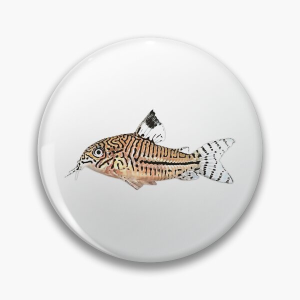 Item preview, Leopard Corydoras - For all Cory lovers designed and sold by AquariumExp.