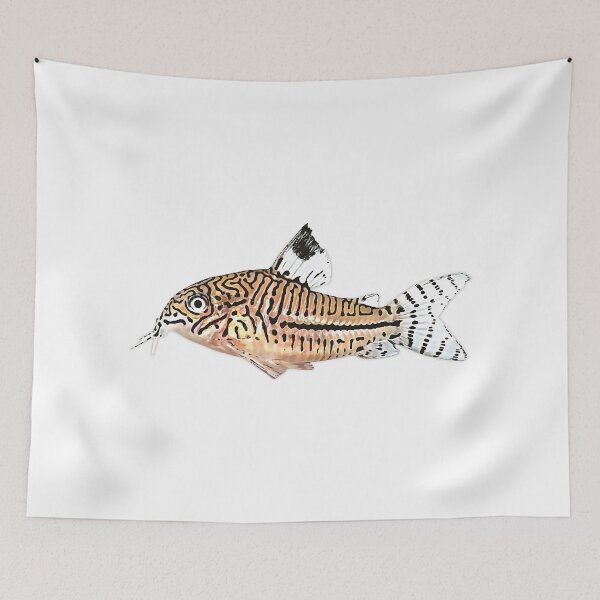 Item preview, Leopard Corydoras - For all Cory lovers designed and sold by AquariumExp.