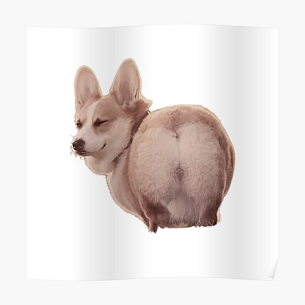 Corgi Booty Posters for Sale | Redbubble