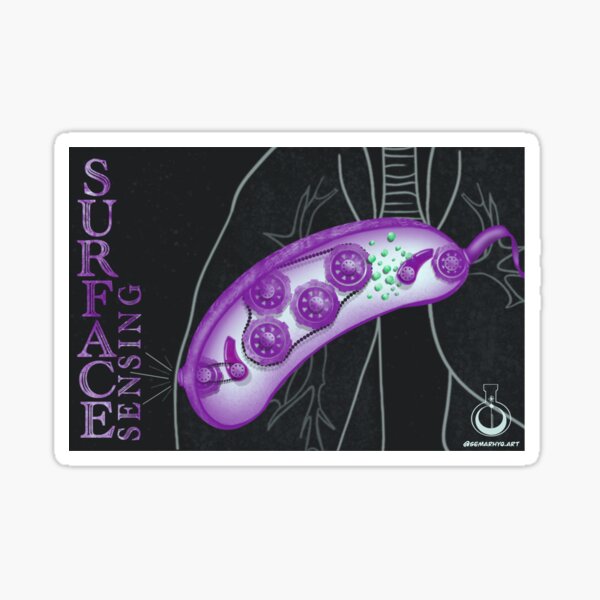 Surface Sensing Sticker