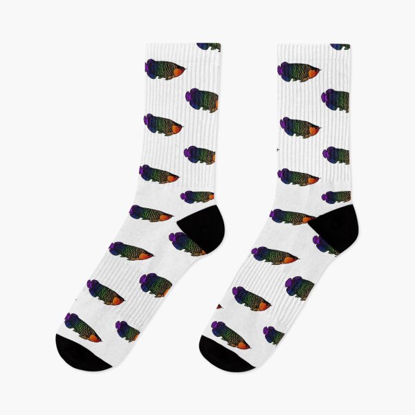 Item preview, Rainbow Asian Arownana designed and sold by CaptinAubs.