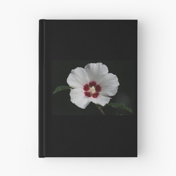 Item preview, Rose of Sharon designed and sold by LisaNaturePhoto.