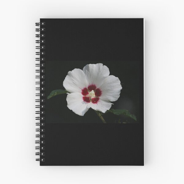 Item preview, Rose of Sharon designed and sold by LisaNaturePhoto.