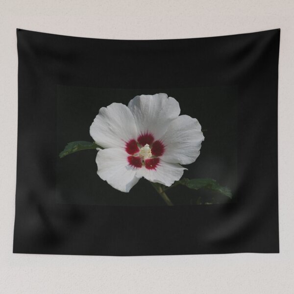 Item preview, Rose of Sharon designed and sold by LisaNaturePhoto.
