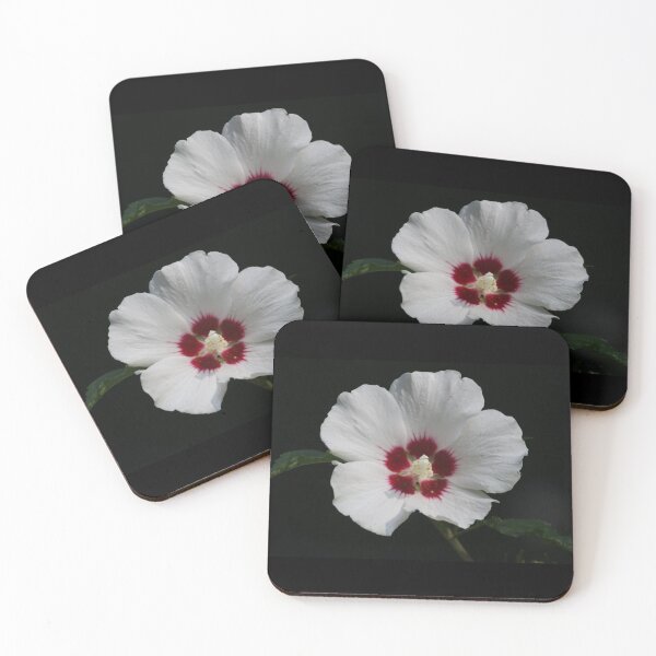 Item preview, Rose of Sharon designed and sold by LisaNaturePhoto.
