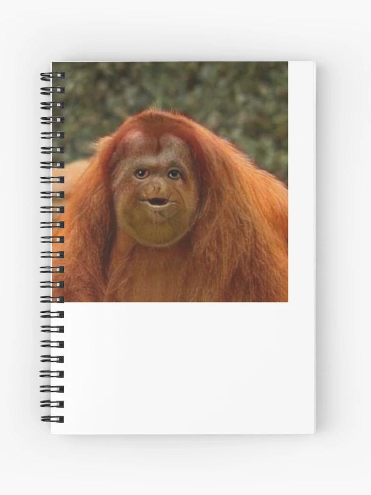 Funny Monkey Meme Cool: Notebook Planner