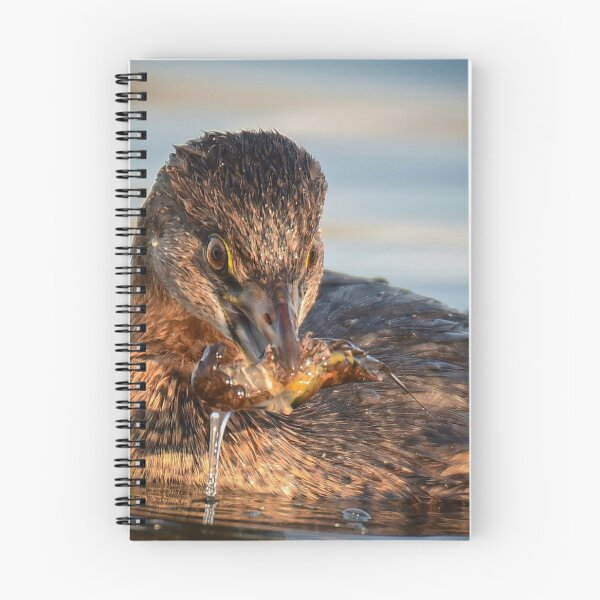 Item preview, the art of fishing with the grebe designed and sold by aim4adventure.